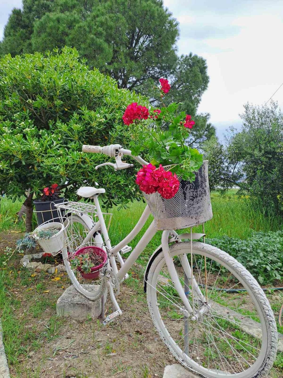 Corfu Lakeside Cottage 卡诺尼 外观 照片